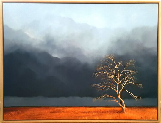 Australian landcape with  burnt orange grasses, deep blue grey cloudy sky and an old tree in the foreground