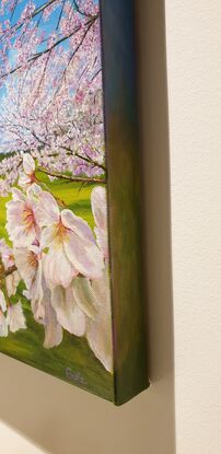 Blossoming Sakura branches and a volcano in the background, Japan. 