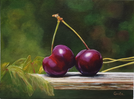 Cherries on the wooden bench 