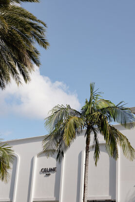 designer store front with palm trees