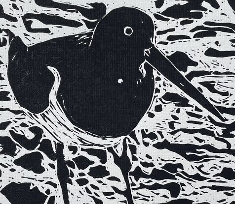 Lino Cut portrait of an Australian Pied Oystercatcher Bird standing on rocks with a background of swirling water. The bird has a very long beak. It’s feathers are black with a white breast and belly. 