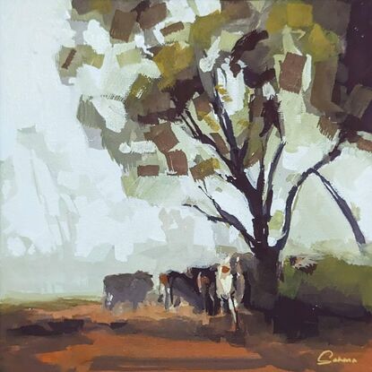 Cows under tree on red soil