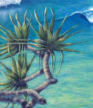 Pandanus palm with sunlit leaves and curving branches, reaching out over the curling waves in the aqua ocean below.