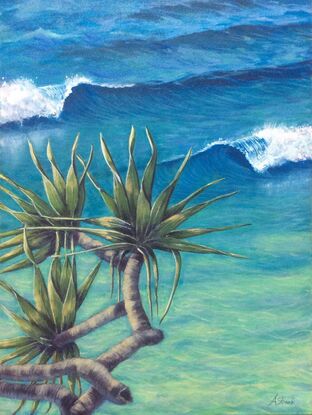 Pandanus palm with sunlit leaves and curving branches, reaching out over the curling waves in the aqua ocean below.