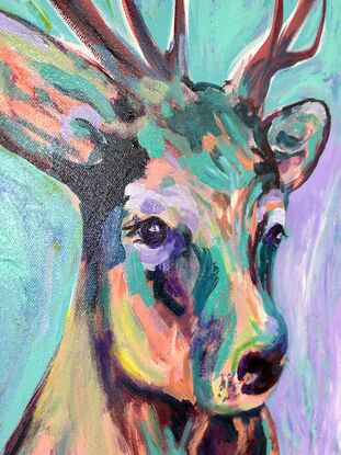 A deer face using a brightly coloured palette to show light and dark. On a abstract background of mixed lilac and a teal pale green 