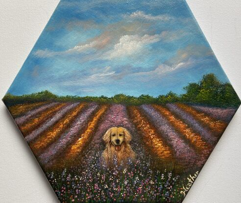 A dog in the lavender field