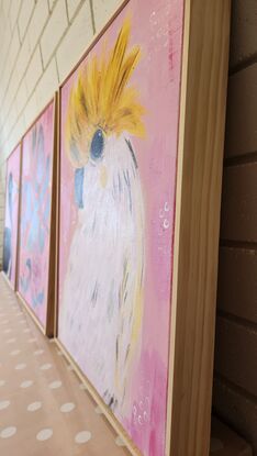 3 canvas's with pink backgrounds. One featuring Australian magpie, one with native flowers and one with a white and yellow cockatoo. All canvas's feature a wooden frame around the work.