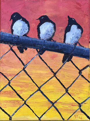 Three Willy wag tails sitting on wire fence at sunset