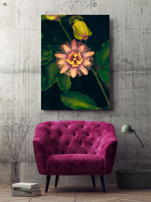 Flower Art
Nature Art
Garden Art