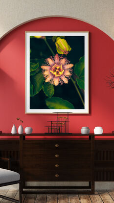 Flower Art
Nature Art
Garden Art