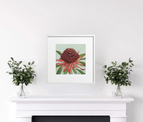 A bold red waratah with green leaves against a sage-green background