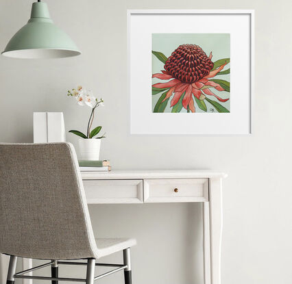 A bold red waratah with green leaves against a sage-green background