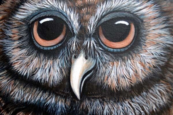 Owl painting