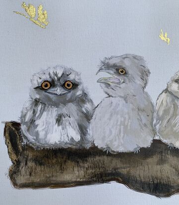 Three baby Tawny Frogmouth birds resting on a large tree branch as a golden moth flutters past. 