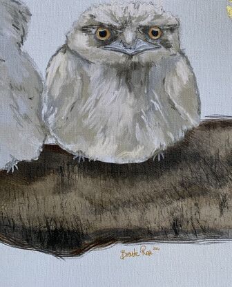 Three baby Tawny Frogmouth birds resting on a large tree branch as a golden moth flutters past. 