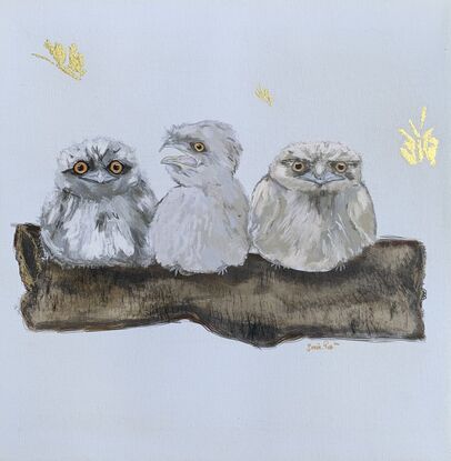 Three baby Tawny Frogmouth birds resting on a large tree branch as a golden moth flutters past. 