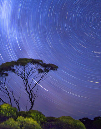 abstracted view of Australian coastal landscape