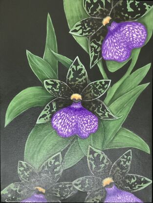 Group of orchids with leaves