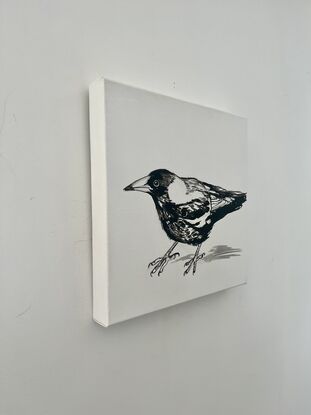 Critical magpie in black-and-white on small can canvas