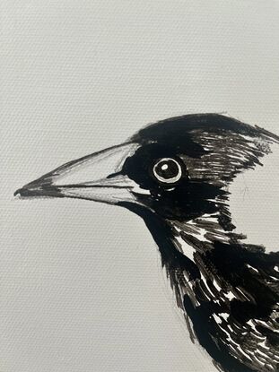 Critical magpie in black-and-white on small can canvas