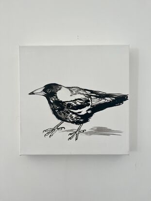 Critical magpie in black-and-white on small can canvas