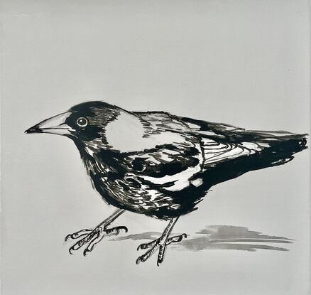 Critical magpie in black-and-white on small can canvas