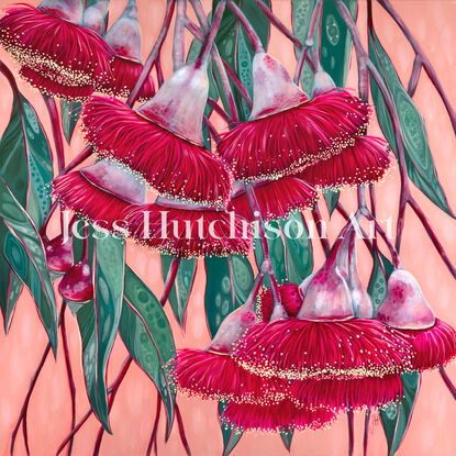 Red Silver princess flowering gum blossoms against a blush pink background and green patterned leaves