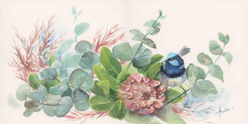  Blue wren perched in wildflowers including pink protea, leaves and blue gum leaves