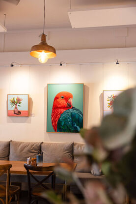 A portrait of a male King Parrot looking over his shoulder. His plumage is vibrant red and greens/ blues and the background is a vibrant jade green.