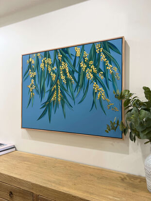 Branches of Australian wattle with clusters of yellow/ gold wattle blooms and green leaves against a dusty blue plain background