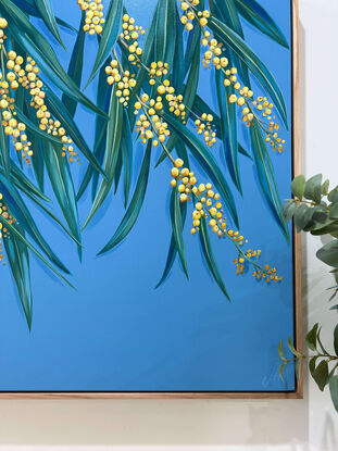 Branches of Australian wattle with clusters of yellow/ gold wattle blooms and green leaves against a dusty blue plain background