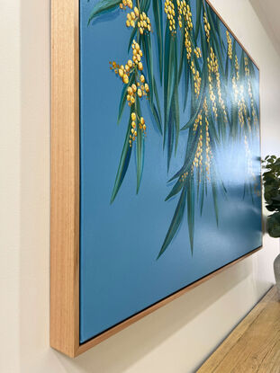 Branches of Australian wattle with clusters of yellow/ gold wattle blooms and green leaves against a dusty blue plain background