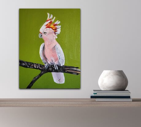 Study of a pink Cockatoo on a Branch against a plain green background.