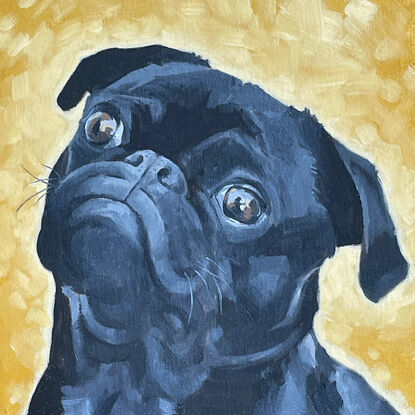 Black pug dog on an orange and yellow background