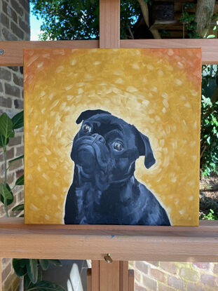 Black pug dog on an orange and yellow background