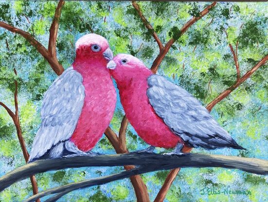 Two pink and grey galahs sitting on a branch in a loving and romantic stance. The background is various shades of green representing the leaves in the trees behind and blue sky filters through the leaves. The painting is framed in a light wooden floating frame.