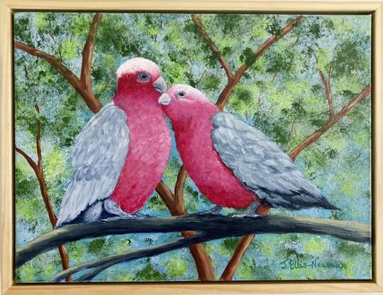 Two pink and grey galahs sitting on a branch in a loving and romantic stance. The background is various shades of green representing the leaves in the trees behind and blue sky filters through the leaves. The painting is framed in a light wooden floating frame.