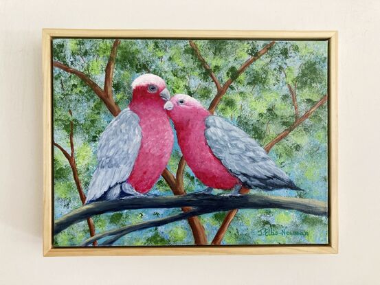 Two pink and grey galahs sitting on a branch in a loving and romantic stance. The background is various shades of green representing the leaves in the trees behind and blue sky filters through the leaves. The painting is framed in a light wooden floating frame.