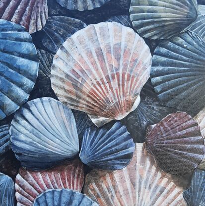 Collection of pink and grey scallop shells.