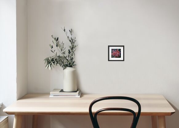 a cluster of flowering pink gumnuts amidst an array of green leaves beautifully presented in a simple black frame with white double mat