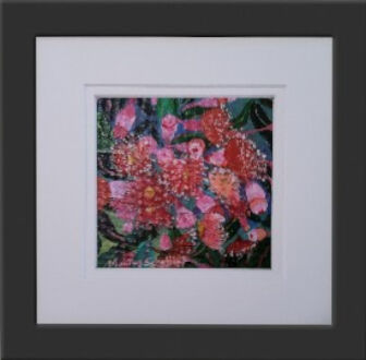 a cluster of flowering pink gumnuts amidst an array of green leaves beautifully presented in a simple black frame with white double mat