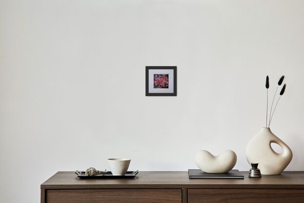 a cluster of flowering pink gumnuts amidst an array of green leaves beautifully presented in a simple black frame with white double mat