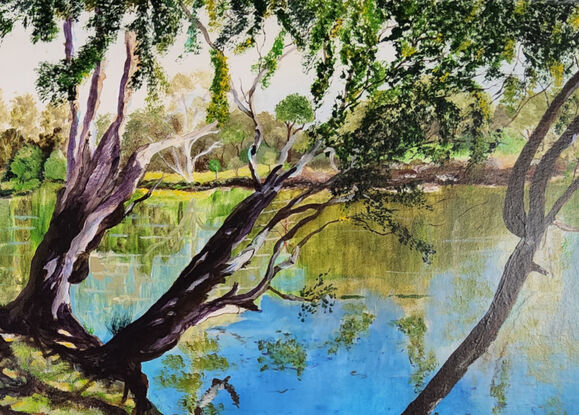 a sunny spring morning in South Albury along the bank of the Murray River under the cover of three river red gum trees giving lots of shade in stark contrast to the sunlit areas on the other side of the river and their soft reflections in the slow moving waters.