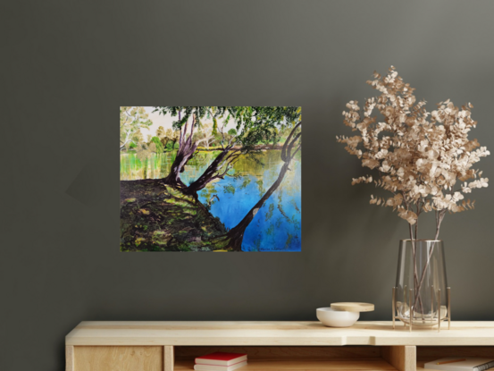 a sunny spring morning in South Albury along the bank of the Murray River under the cover of three river red gum trees giving lots of shade in stark contrast to the sunlit areas on the other side of the river and their soft reflections in the slow moving waters.