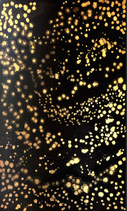 A black canvass with clusters of shimmering gold stars in an abstract impressionist style