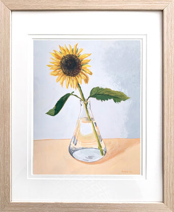 One sunflower in glass vase on peach and blue background