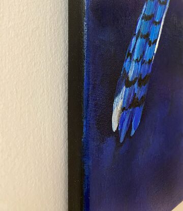 A blue jay bird perched on a magnolia tree branch against an indigo blue background. 