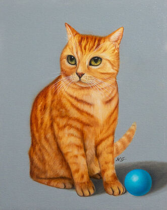 Ginger Tabby Cat