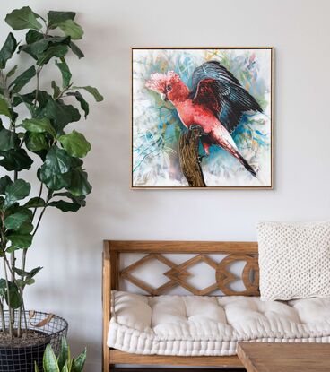 a native Australian sulphur crested cockatoo sits on a tree branch