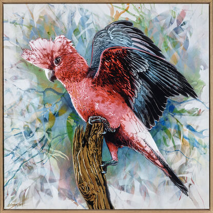 a native Australian sulphur crested cockatoo sits on a tree branch